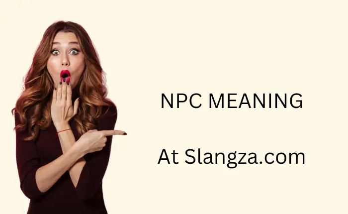 NPC Slang Meaning