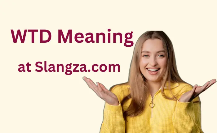 WTD Meaning WTD Meaning