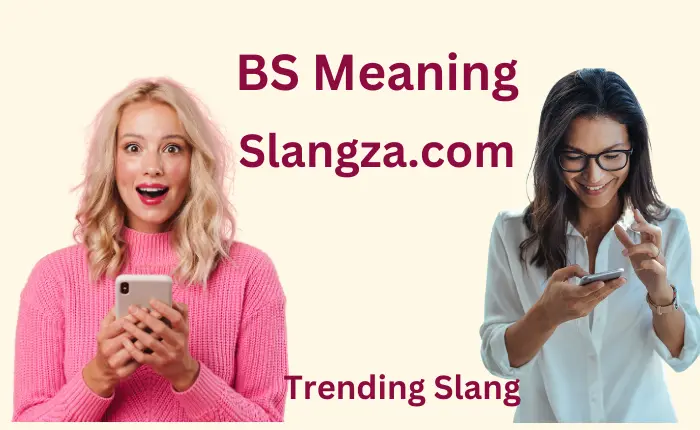 BS Meaning